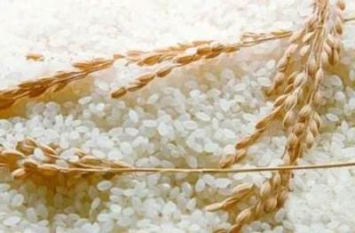 釀酒技術(shù):釀酒原料那么多,哪種最好?